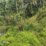 Buying NA (Non-Agricultural) Plots in Konkan is a Smart Move