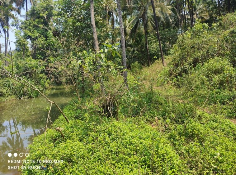 Buying NA (Non-Agricultural) Plots in Konkan is a Smart Move