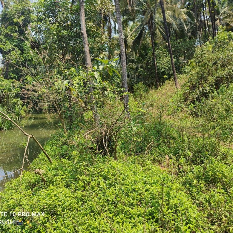 Buying NA (Non-Agricultural) Plots in Konkan is a Smart Move