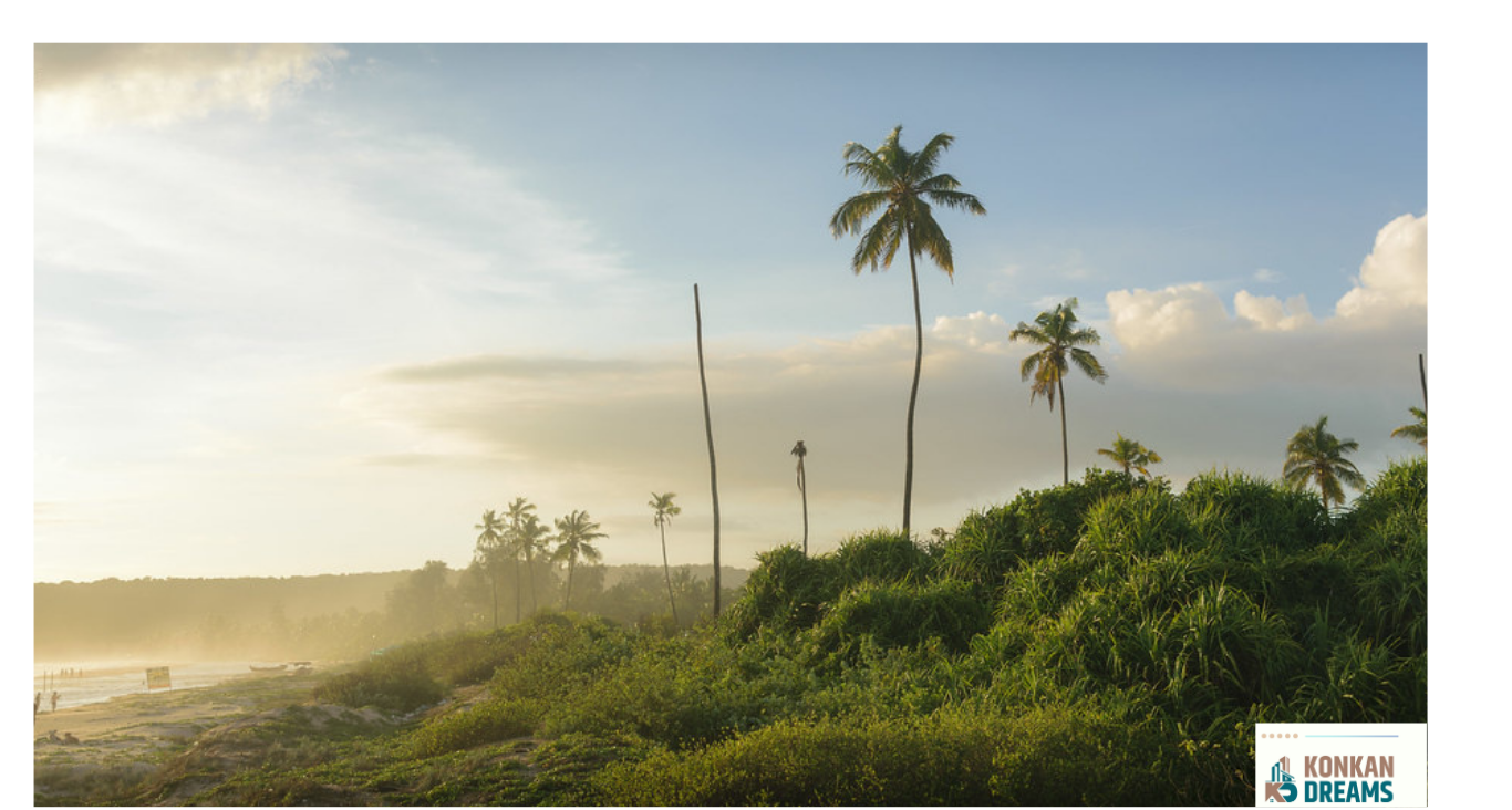 “Scenic view of Vengurla beach with coconut trees, lush green vegetation, and a misty coastline under a cloudy monsoon sky.”